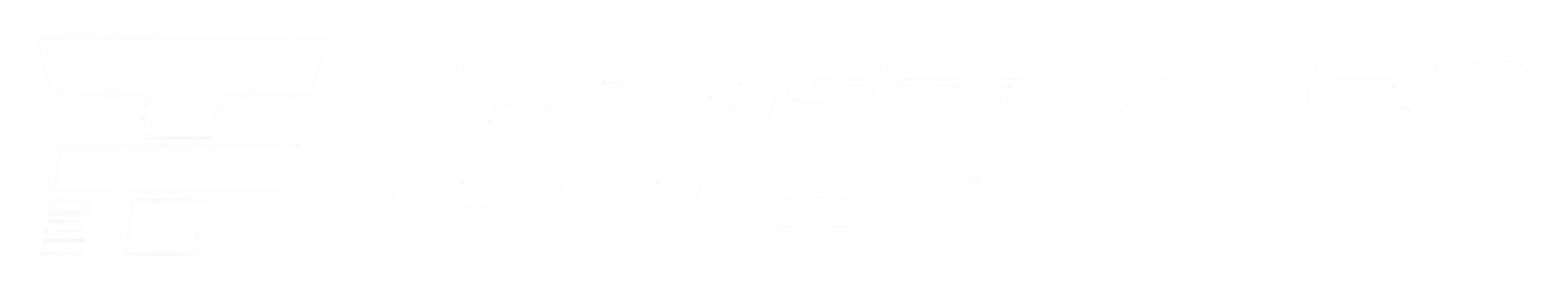 Transformer Hockey