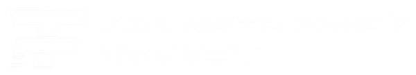 Transformer Hockey